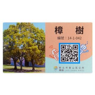 Adopt Ming Edition To Promote Camphor Tree-2