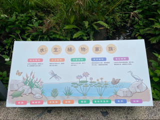 Aquatic plant family explanation board
