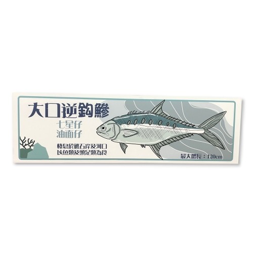2- Fish identification