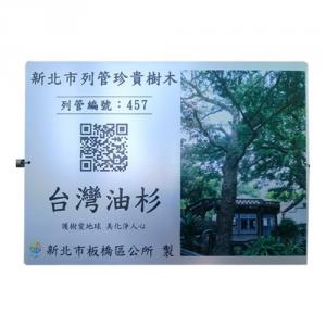 Adopt Ming Edition to Promote The Protection Of Taiwan Oil Fir Trees