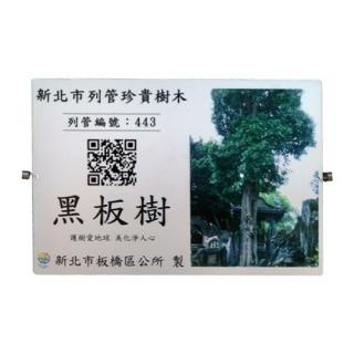 Adopt Ming Edition To Promote The Blackboard Tree-1