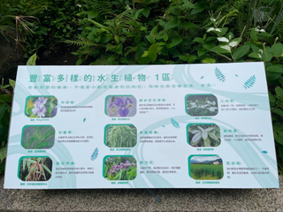 Aquatic plant explanation board