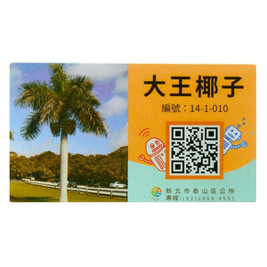 Adopt Ming Edition To Promote Hudawang Coconut Tree