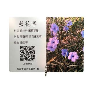 Interpretation Flower Card - Orchid Grass