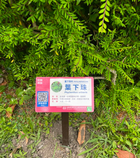 gardening signage