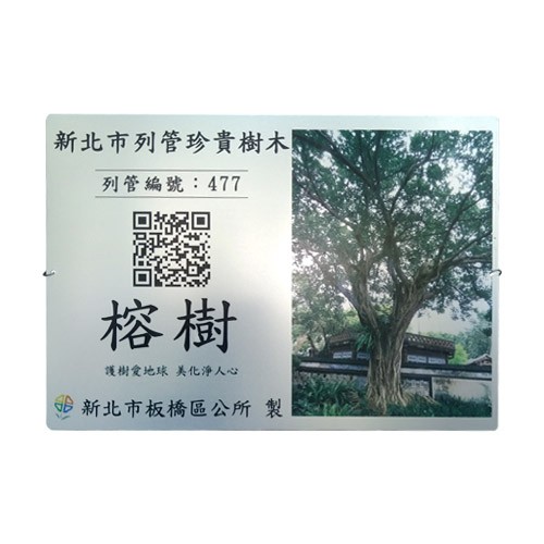Adopt Ming Edition To Promote The Protection Of The Banyan Tree-4