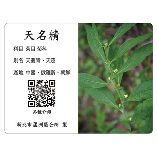 Interpretation Card - Tianmingjing
