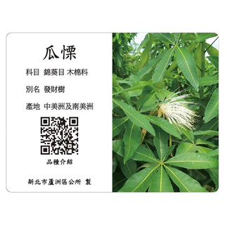 Commentary Card-Guali