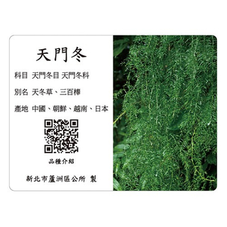 Commentary Card - Asparagus