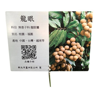 Commentary Card - Longan